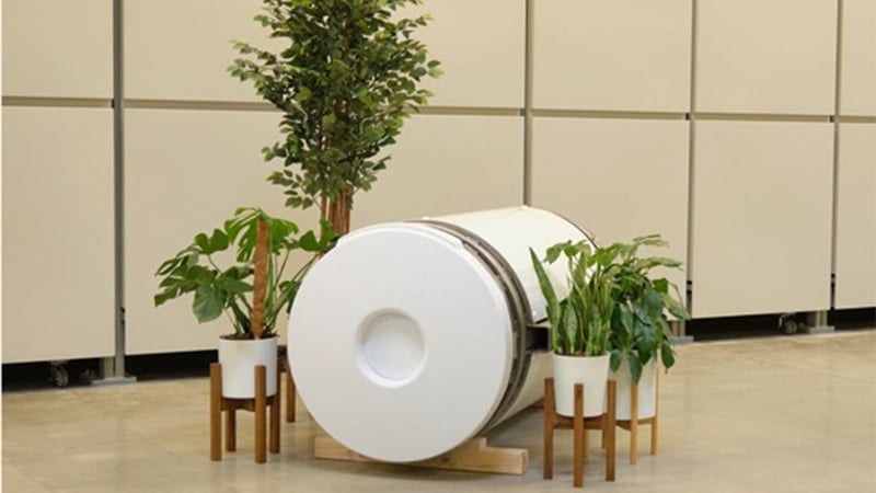 Death Care Goes Green