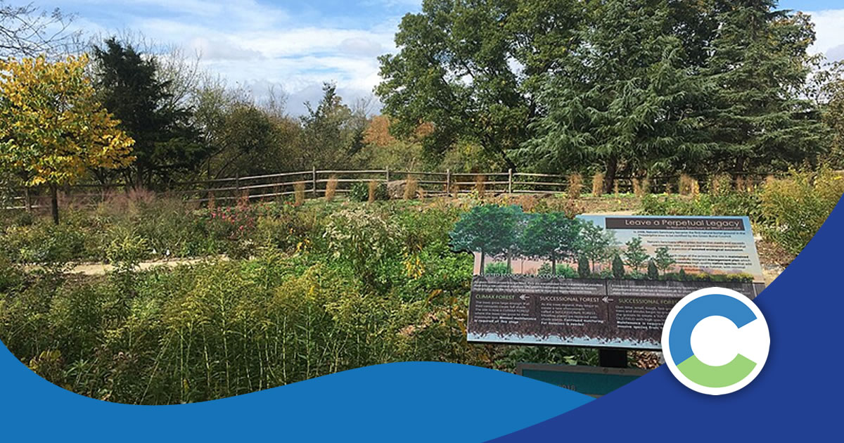 Saving the Environment and Cash Through ‘Green’ Burials - CemSites