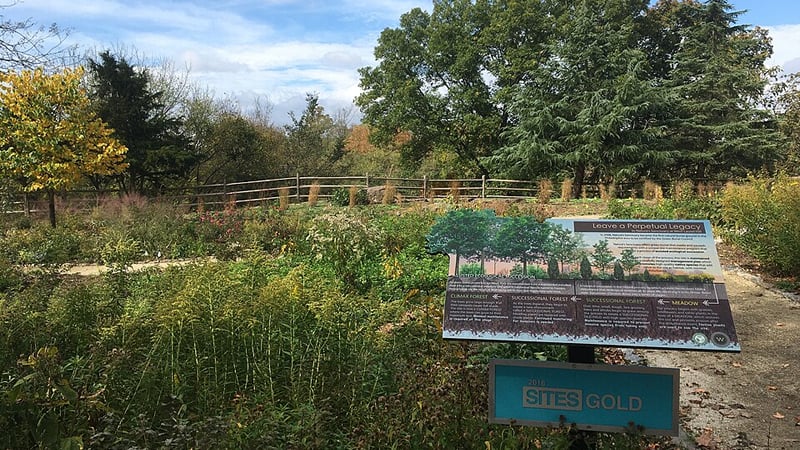 Saving the Environment — and Cash — Through ‘Green’ Burials