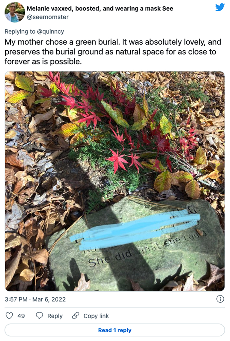 Saving the Environment — and Cash — Through ‘Green’ Burials