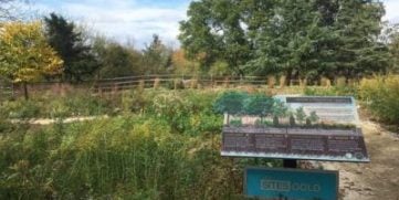 'green' Burials