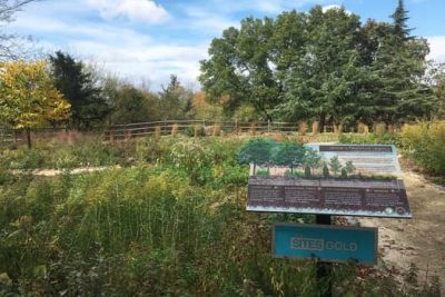 'green' Burials