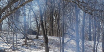 Casper Creek Natural Cemetery